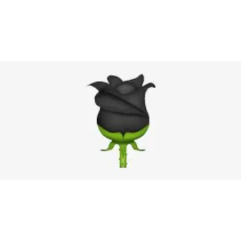Gifting Black Rose 